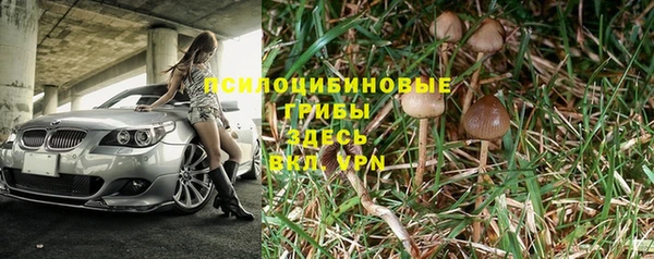 apvp Осинники