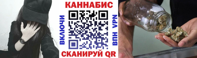 Бошки марихуана сатива где найти наркотики Приозерск